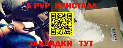 прущие грибы Ирбит